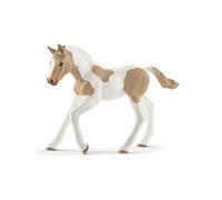 schleich HORSE CLUB Poulain Paint Horse