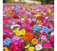 139 pièces de mélange de fleurs de jardin vivaces résistantes à l'hiver - Calliopsis, Bairic, Tournesol, etc., convient pour la plantation dans les jardins de fleurs toute l'année.