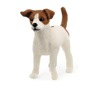 13916 Jack Russel Terrier