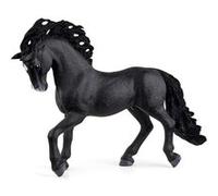 13923 Etalon pure race espagnole Noir G