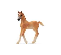 Schleich – Poulain Arabe