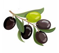 13cmx9.6cm pour Olives Bunch Logo Olives Vertes et Noires Branche Fine Decal