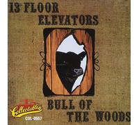 13th Floor Elevator - Bull of The Woods