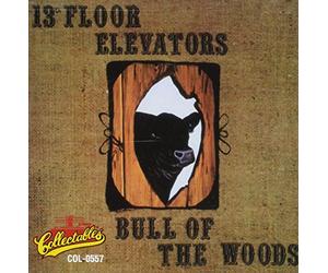 13th Floor Elevator - Bull of The Woods