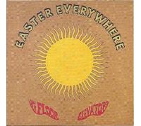 13th Floor Elevators - Easter Everywhere [Import]