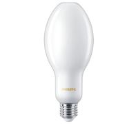 13W LED Givré Ampoule Bougie, E27, 3000K, 2000lm, non-Graduable - 929002349702