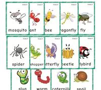 14 Cartes Éclair Insectes en Anglais, Matériel Montessori pour l'enseignement de l'Anglais (ESL), Homeschool et Thérapie Autisme