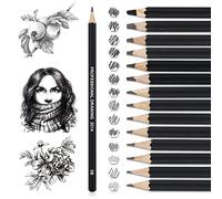 14 Crayons Dessin, Professionnel Crayon Papier 12B, 10B, 8B, 7B, 6B, 5B, 4B, 3B, 2B, B, HB, 2H, 4H, 6H