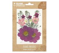 14 fleurs pressées - prairie parme