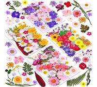 140 Pcs Dried Pressed Flowers for Resin, Real Pressed Flowers Dry Leaves Bulk Natural Herbs Kit for Scrapbooking DIY Art Crafts, Epoxy Resin Jewelry Molds, Candle, Soap Making, Nails Décor