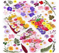 140 Pcs Dried Pressed Flowers For Resin,Real Pressed Flowers Dry Leaves Bulk Natural Herbs Kit For Scrapbooking Diy Art Crafts,Epoxy Resin Jewelry Molds,Candle,Soap Making,Nails Decor