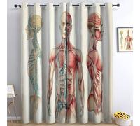 140 x 245 cm Lot de 2 Rideaux 100% occultants à Isolation Thermique Médicaux Anatomie Structure Corps Humain Tissu Doux et Infroissable, Double Rideau à œillets pour Chambre Salon Cuisine, Beige