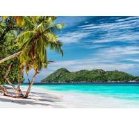 141443960 Poster de 60 x 40 cm : scène de vacances de luxe sur une île tropicale, plage paradisiaque avec sable blanc et palmiers