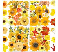 143pcs Yellow Pressed Dried Flowers For Pesin Real Nature Daisy Flowers For Jewellery Soap Vase Card Scrapbook Art Decorations