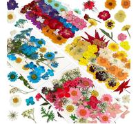 144 PièCes Fleurs PresséEs SéChéEs Naturelles pour RéSine, Kit D'Herbes Naturelles en Vrac de Fleurs SèChes pour Bougie, RéSine