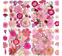 146pcs Pink Pressed Dried Flowers For Real Nature Daisy Flowers For Jewellery Soap Vase Card Scrapbook Art Decorations