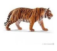 14729 Tigre du Bengale mâle Marron G