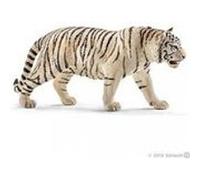 14731 Tigre blanc male Marron G