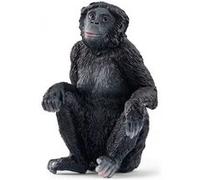 14875 - Wild Life Femelle Bonobo Multicolore G