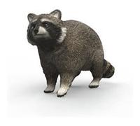 14937 WILD LIFE Raton laveur Blanc