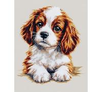 14CT Point De Croix Kit Complet Cartoon Dog Cross Stitching Kit Cavalier King Charles Spaniel Animal Préimprimé Tissu Point De Croix Diy Art Needlecrafts Broderie Kits Pour Adultes Débutan 30x40cm