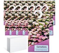 14PCS Sachet Parfumé Armoire Sent Bon Maison, Sachets Lavande Placards Parfum Voiture, Sachet Armoire Parfumé, Parfum Ambiance Maison Parfum d'intérieur, Desodorisant Vetement Armoire (Oeillet)