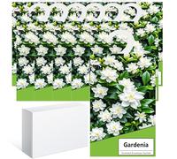 14PCS Sachet Parfumé Armoire Sent Bon Maison, Sachets Lavande Placards Parfum Voiture, Sachet Armoire Parfumé, Parfum d Ambiance Maison Parfum d'intérieur, Desodorisant Vetement Armoire (Gardenia)