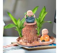 15 × 7 x 10 cm - ni Wood - ni Brazil Wood, souche de en pot -ni, de bureau pour purifier l'air intérieur (bois brésilien + 2 moines + 2 solutions
