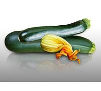 15 Graines À Semer - Le Grenier D'abondance - Courgette Black Beauty - Cucurbita Pepo