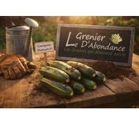 15 graines à semer - Le Grenier d'Abondance - COURGETTE Diamant Hybride F1 - Cucurbita Pepo
