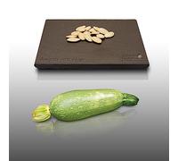 15 graines - COURGETTE"Verte petite d'Alger" - Cucurbita Pepo