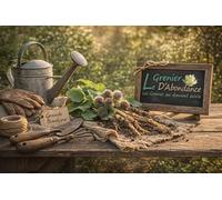 15 graines à semer - Le Grenier d'Abondance - Grande Bardane - Arctium lappa