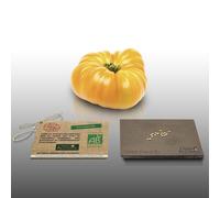 15 graines à semer - Le Grenier d'Abondance - TOMATE Ananas Bio - Certifié AB - Solanum lycopersicum