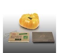 15 graines à semer - Le Grenier d'Abondance - TOMATE Ananas Bio - Certifié AB - Solanum lycopersicum