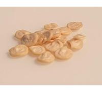 15 graines Bio à semer - Le Grenier d'Abondance - POIVRON Aconcagua - Certifié AB - Capsicum annuum