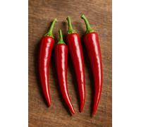 15 graines bio à semer- Le Grenier d'Abondance - POIVRON capsicum annuum - SUCETTE DE PROVENCE bio