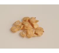 15 Graines Bio À Semer - Le Grenier D'abondance - Poivron Italian Red Marconi - Certifié Ab - Capsicum Annuum