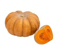 15 Graines de Courge Musquée de Provence (Cucurbita moschata) - SemiSauvage Permaculture - graines reproductibles