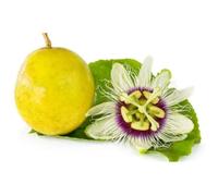 15 Graines de Grenadille - jardins fleurs fruits - méthode BIO
