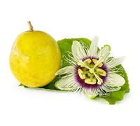 15 Graines de Grenadille - jardins fleurs fruits - Semences Paysannes