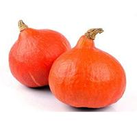 15 Graines de Potimarron - légumes courges jardin potager - semences paysannes reproductibles - SemiSauvage