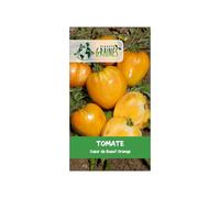 15 Graines de Tomate Cœur de Bœuf Orange Variété Ancienne, Grosse et Charnue Saveur Douce Exceptionnelle Semences Reproductibles.