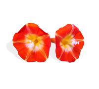 15 Graines Fleurs À Semer - Le Grenier D'abondance - Ipomee Rouge Scarlet O'hara H. 5 Mètres - Ipomoea