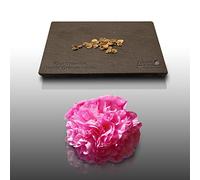 15 graines Fleurs à semer - Le Grenier d'Abondance - ROSE TREMIERE à fleurs doubles - Alcea rosea