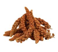 15 kg de millet rouge Lyra Pet®