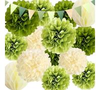 15 Pièce Kit Pompon Papier de Soie Vert Sauge avec 2 Boules en nid d'abeille et 1 drapeau coloré, Decoration Facile à Assembler Fleur Papier,Pour Decoration Mariage,Fête