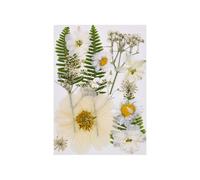 15 pièces de Fleurs séchées pressées, Fournitures d ' Embellissement Artisanal pour Marque-Pages Faits à la Main, Bougies, Fabrication de Bijoux, Scrapbooking, Fleurs séchées pour l ' Art en résine