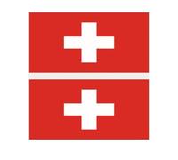 15 pièces drapeaux de pays de vacances nationales de belgique mexique suisse turquie tatouage autocollant drapeau visage Fans tatouage temporaire (Color : Color-12, Size : A)
