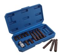 15 Pièces Jeu de Douilles H4-h12 avec Adaptateur 1/2 Pouces | Alliage et Plastique, Ajustement Précis, pour Frein, Moteur et Bricolage Auto, avec Coffret de Rangement
