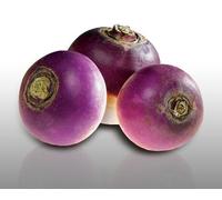 150 Graines À Semer - Le Grenier D'abondance - Navet Blanc Globe À Collet Violet - Rapum